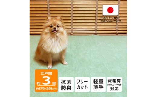 カーペット 日本製 抗菌防臭 犬 猫 ペット ビオラ 176×261cm 江戸間 3畳 グリーン【1640011】