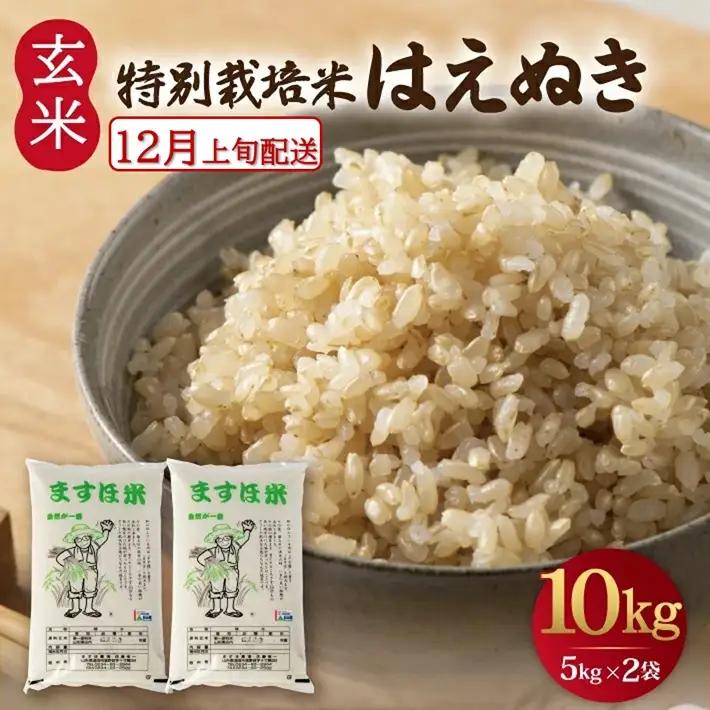 SB1015　12月上旬配送／令和8年産【玄米】　特別栽培米『はえぬき』 10kg(5kg×2袋)［減農薬・減化学肥料］ MA