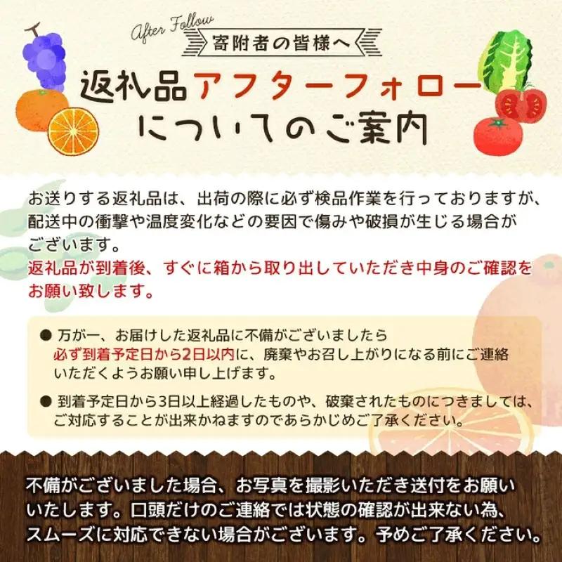 梨 白鳳梨（豊水）3L  14玉 ※お届けは9月上旬から9月中旬頃の予定 梨 【hkns0001】