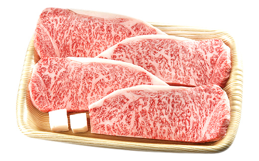 A4等級以上 飛騨牛サーロインステーキ用 680g ( 170g × 4枚 )　霜降り 牛肉 サーロイン 牛肉ステーキ 牛肉 肉 和牛 高級牛肉 4人前 国産牛 国産 牛 ブランド牛 ネオプライムヒグ