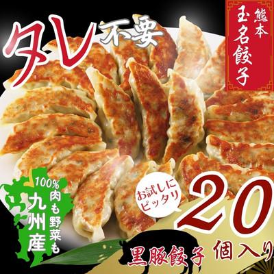 ふるさと納税 玉名市 黒豚餃子 20個