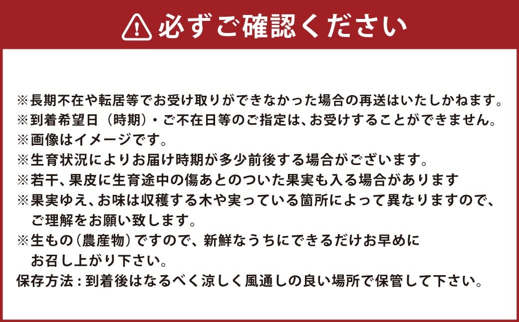 【年4回定期便】デコポン約5kg（15～20玉入り）×4回