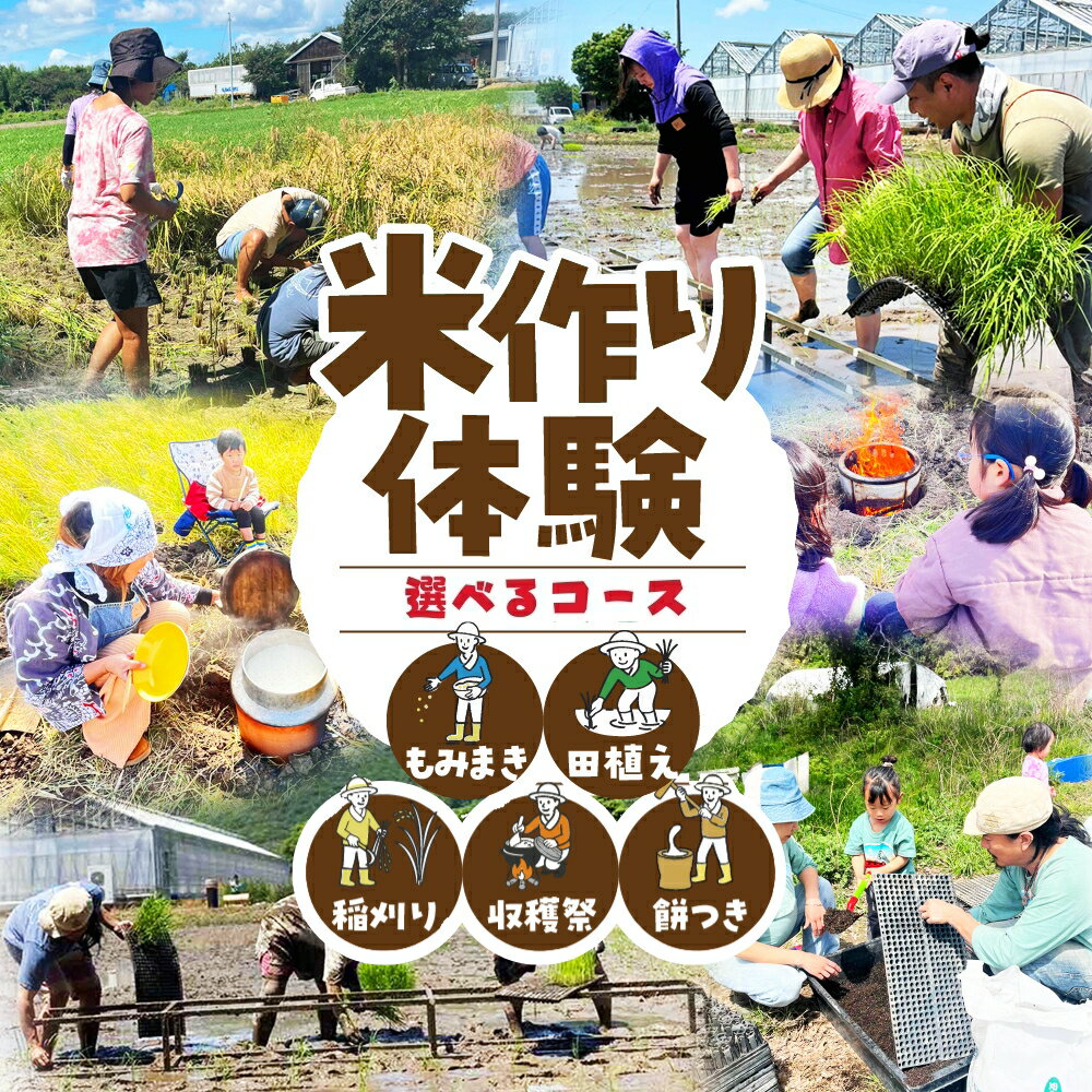 【ふるさと納税】米作り体験 選べる 2コース もち 餅 米作り 手作業 無農薬 体験 お米 米 親子 イベント 自然 自然体験