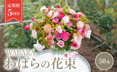 わばらの花束 50本定期便 ５回分 Rose Farm KEIJI