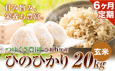 米 【6ヶ月定期便】令和5年産 ひのひかり 玄米 20kg 熊本県荒尾市産 つゆくさ農園 《お申込み月の翌月から出荷開始》