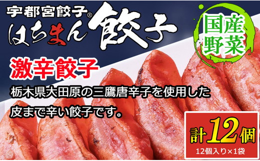 
                  宇都宮餃子 はちまん餃子 激辛餃子 12個（12個入り×1袋/1個 22g） ｜ 宇都宮餃子 国産野菜 グルメ 宇都宮市 餃子 冷凍 ぎょうざ ギョーザ 野菜 冷凍食品 冷凍餃子 焼き餃子 水餃子
                