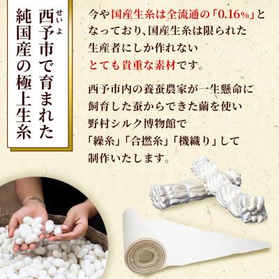 ふるさと納税 西予市 <材料、繰糸、機織りすべて西予市でつくった シルク反物> 西予市産 愛媛県産 国産 座繰り 手織り |  | 03