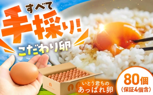 【うみたて新鮮】いとう君ちのあっぱれ卵80個（76個+割れ補償4個） /いとう養鶏場 [UAQ002]