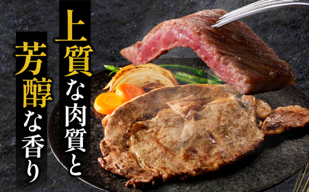 宮崎牛 サーロインステーキ 1枚220g 肉 牛肉 ステーキ