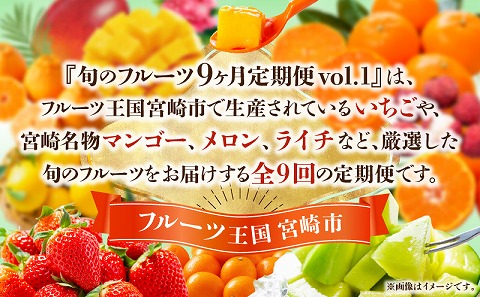 旬のフルーツ9ヶ月定期便vol.1