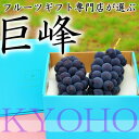 【ふるさと納税】2025年先行予約 山梨県山梨市産　旬の採れたて巨峰　約1kg　2～3房【配送不可地域：離島】【1459462】