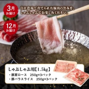 【全4回】鹿児島県産 カミチク豚 定期便 076-16