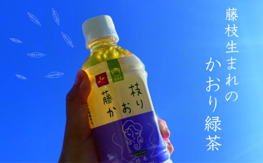 緑茶 藤枝かおり 350ml×24本 1ケース （清涼飲料水）