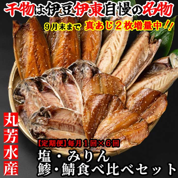 W06【ふるさと納税】【定期便 全6回】伊東 丸芳のおすすめ おかずの定番 無添加・無着色 あじ・サバひものセット 蒼 毎月1回×6回