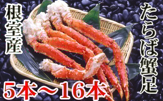 
            C-36080 【12/21まで年内配送】 【北海道根室産】ボイルたらば蟹足5～16本(計1～1.2kg)
          