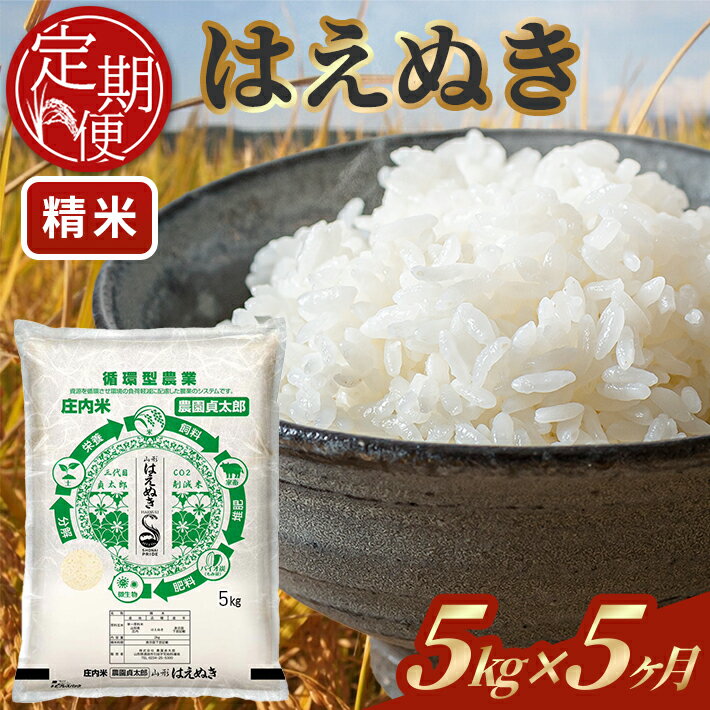 【ふるさと納税】≪5ヶ月定期便≫はえぬき 精米 5kg×5ヶ月連続 計25kg 令和7年産 山形県産 ご希望期間の毎月下旬にお届け 白米 庄内米 米 ごはん ご飯 酒田市 庄内 山形県 東北 定期便 5回
