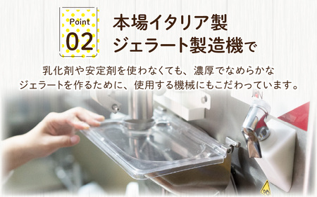 越前大野の「名水ジェラート」おまかせ16個セット