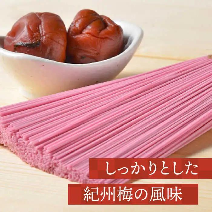 手延べ梅そうめんセット あごだしスープ付き 1.1kg / そうめん 素麺 麺 乾麺 梅 うめ ウメ / 南島原市 / のうち製麺 [SAF043]