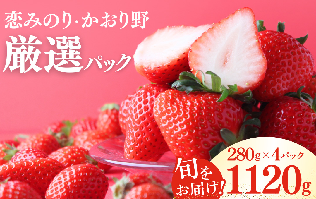 【先行予約＿2026年出荷分】完熟いちご280g 4パック（DXパック）恋みのり、かおり野から厳選　【 苺 いちご イチゴ 恋みのり かおり野 産地直送 旬 果物 フルーツ くだもの 静岡県 伊豆 南伊豆町 期間限定 】　<AA-4>