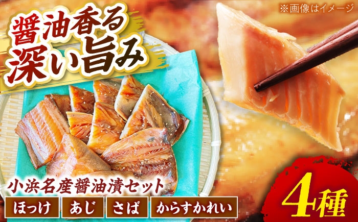 
                  竹下商店　小浜名産お魚醤油漬セット4種（冷凍）  【配送不可地域：北海道・沖縄・離島】  [BFCO007] 
                