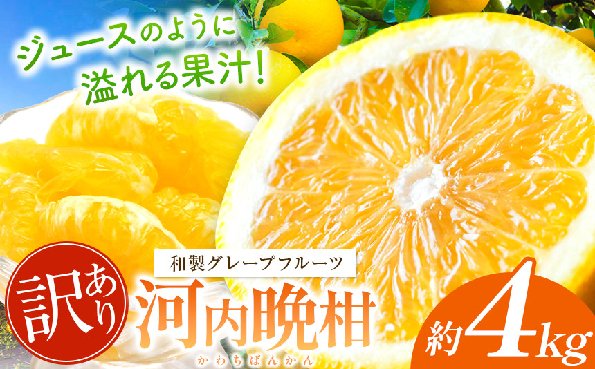 
             訳あり 河内晩柑 約 4kg 後藤農園 | 柑橘 みかん フルーツ 家庭用 和製 グレープフルーツ 果物 熊本県産
          