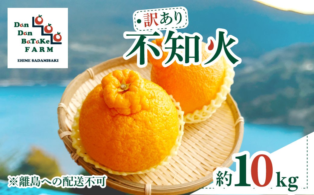 
                  【先行予約】【訳あり】不知火 約10kg | 柑橘 みかん 果物 フルーツ 愛媛県産 農家直送　※離島への配送不可　※2027年2月下旬より順次発送予定  【ふるさと納税 人気 おすすめ ランキング 柑橘 みかん ミカン フルーツ mikan 果物 オレンジ 不知火 訳あり Dan Dan BaTaKe FARM 愛媛県産 愛媛県 伊方町 送料無料】 IKTAU009 
                