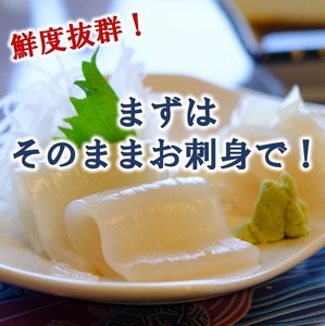 冷凍スルメイカ 中 ４本～６本 （約１kg前後） いか 刺身 いかめし イカの塩辛 イカ焼き