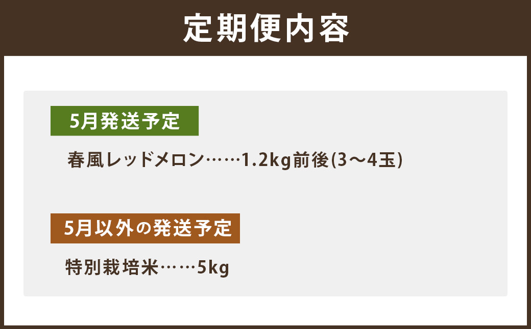 【6回定期便】つるたファームまるごと定期便 Red （特別栽培米 5kg・春風レッドメロン 1.2kg前後） 