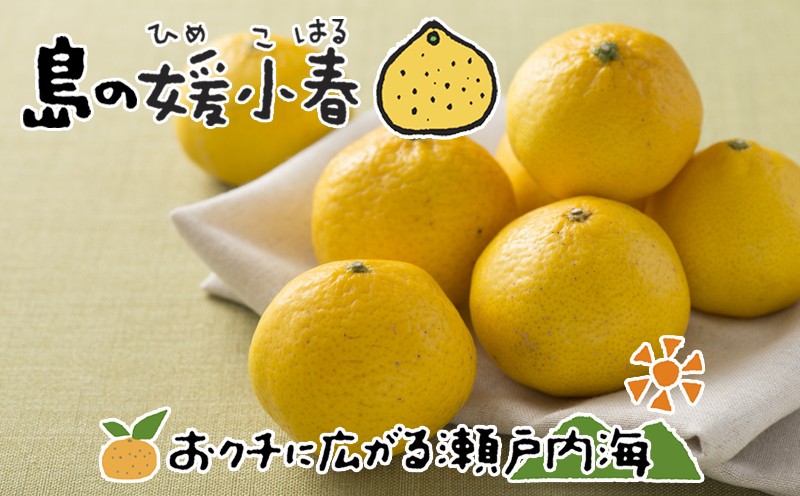 
                  媛小春 2kg 希望の島 【2027年3月上旬頃から順次発送】 | みかん 愛媛 ひめこはる 柑橘 果物 フルーツ かんきつ ふるーつ mikan ミカン 蜜柑 オレンジ orange おれんじ グルメ お取り寄せ 送料無料 愛媛県 松山市 中島
                