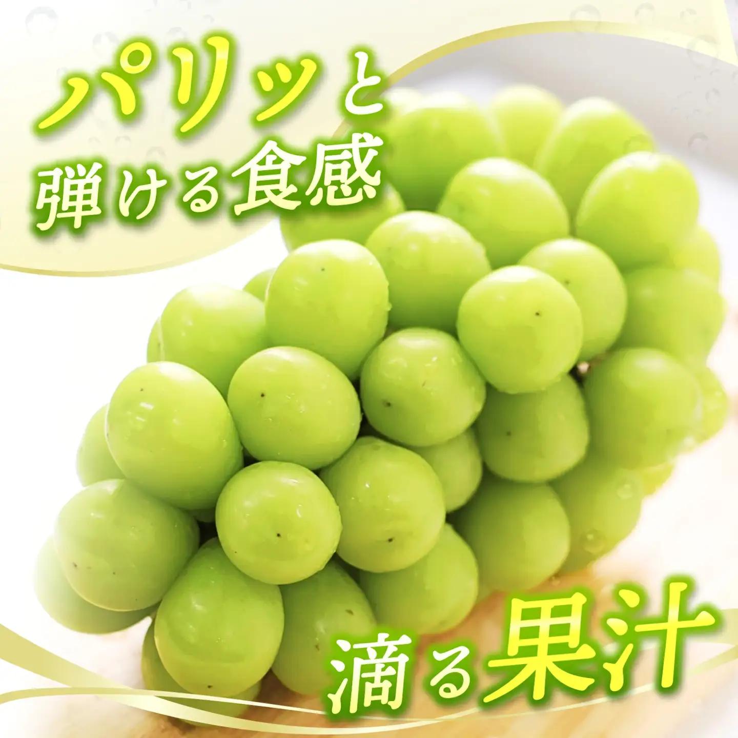 【2026年先行予約】 ご家庭用 Lino＆Kai Farmのシャインマスカット 1房 （約800g）化粧箱入 ぶどう 岡山 真庭市 シャインマスカット 【linokai007-02】