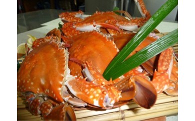 漁師直送！！竹崎カニ　約１ｋｇ 竹崎カニ 竹崎蟹 竹崎かに 約1kg（ 大3匹 中4匹 小5匹 ） カニ味噌 蟹味噌 かに味噌 ワタリガニ ゆで上げ 茹で上げ 太良町 佐賀 Q30x2 【2026年9月下旬～10月下旬】