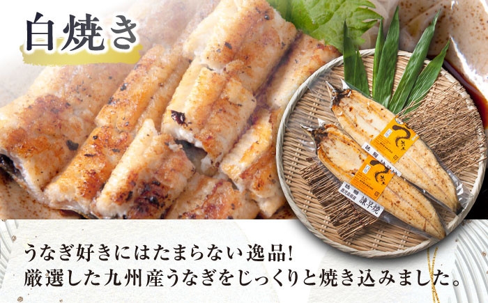 うなぎ蒲焼6尾＆白焼き4尾 うなぎ ウナギ 鰻 蒲焼き 蒲焼 白焼き 白焼