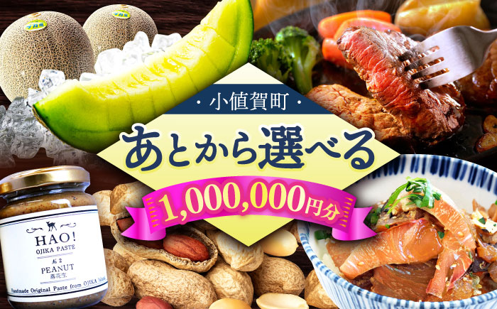 
                  【あとから選べる】小値賀町ふるさとギフト 100万円分　長崎県 小値賀町 [DYZ015]
                