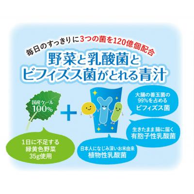 ふるさと納税 西予市 【3ヶ月定期便】野菜と乳酸菌とビフィズス菌がとれる青汁 |  | 03