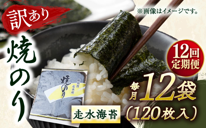 
            【全12回定期便】【訳あり】焼海苔12袋（全形120枚） 訳アリ 海苔 のり ノリ 焼き海苔 走水海苔 横須賀【丸良水産】 [AKAB138]
          