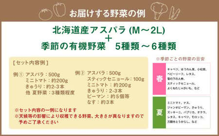 【2024年4月下旬発送開始】北海道産アスパラと季節の有機野菜セット 北海道 北広島市 野菜セット アスパラ 有機野菜 