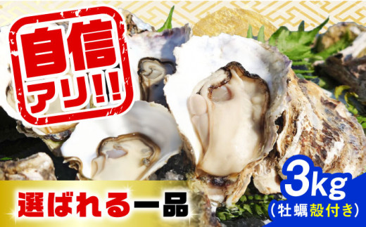 【5月17日（日）着】加熱用 生牡蠣 殻付き 3kg 江田島市／株式会社門林水産 [XAO009-104]
