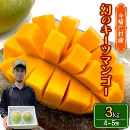 【先行受付・2026年8月から順次発送】仲本マンゴー園の幻のキーツマンゴー3kg(4～5玉)【配送不可地域：離島】【1572260】