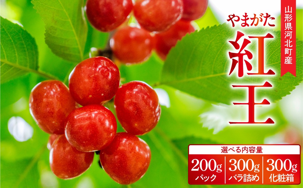 
                  選べる内容量!【令和9年産】さくらんぼ 紅王 200g/300g 3L玉以上 秀品・特秀品 山形県産【山形eLab】 (紅王 大粒 かほく サクランボ チェリー 先行予約 先行受付 2027年 フルーツ 果物 旬の果物 産地直送 お取り寄せ くだもの 高級 ギフト プレゼント 贈り物 内祝い お中元 贈答 贈答用 国産 予約 東北)
                