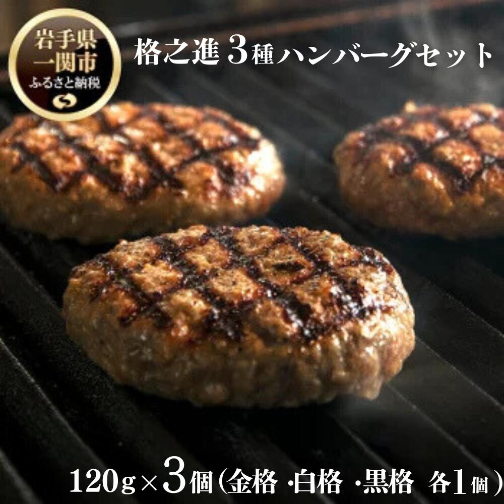 《格之進》 3種の格之進ハンバーグ 各1個 合計3個 金格ハンバーグ 120g×1個 白格ハンバーグ 120g×1個 黒格ハンバーグ 120g×1個 ハンバーグ ふるさと納税 冷凍  牛肉 豚肉 ギフト プレゼント 小分け 個包装 人気 高級 送料無料 岩手県 一関市