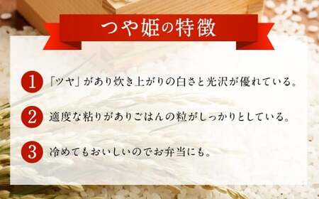 036-976 大分県 豊後大野市産 つや姫 ジオ蔵出し色選米 特別栽培米 10kg (5kg×2袋) 米 精米