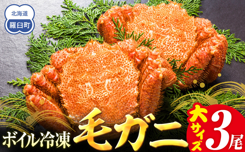 【先行予約/2026年4月発送開始】2026年産　ボイル冷凍毛ガニ　大３尾（600～650g）
