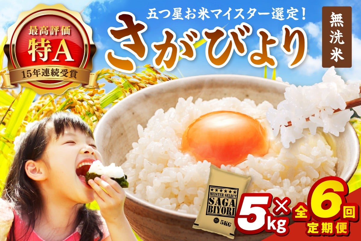 定期便 無洗米 さがびより5kg×6回