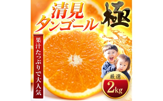 ＜太陽をたっぷり浴びた＞清見タンゴール＜極＞2kg＜A49-94＞【1623955】 YWTZ079