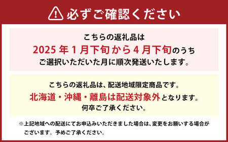 【2025年4月発送】【先行予約】福岡県産 羽衣農園の 完熟 あまおう 約1kg 約250g×4パック  選べる配送月 いちご 苺 イチゴ ベリー 果物 フルーツ お取り寄せ デザート おやつ