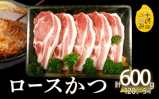 米の恵み　ロースかつ　約120g×5枚  豚肉 ロースかつ 米の恵み 冷凍 旨味 ブランド豚 極上 大分市 国産 肉料理 A02011