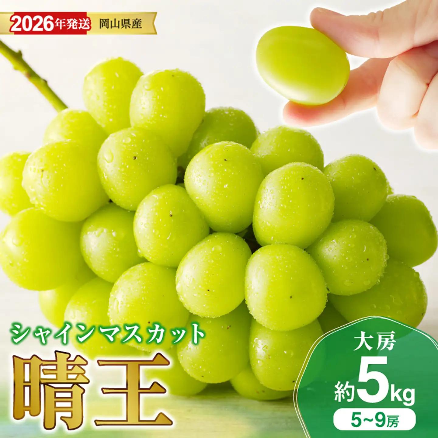 岡山県産 シャインマスカット 晴王 秀品 大房 約5kg 5～9房程度【シャインマスカット】hz-s