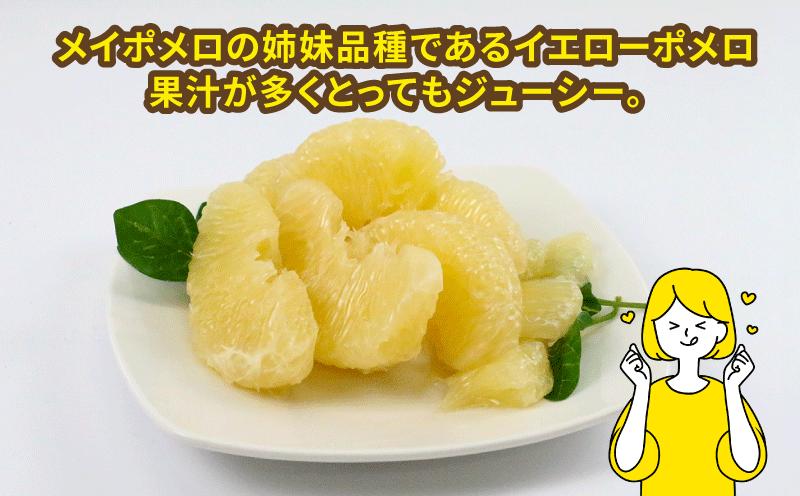 愛媛 みかん メイポメロ イエローポメロ 8kg 10~12個 詰合せ 山本みかん ポメロ 果物 フルーツ 柑橘 蜜柑 農家直送 産地直送 数量限定 国産 宇和島 B015-038005