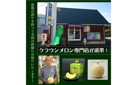 クラウンメロンの子メロン【配送不可：離島】 メロン青肉 果物類 フルーツ 