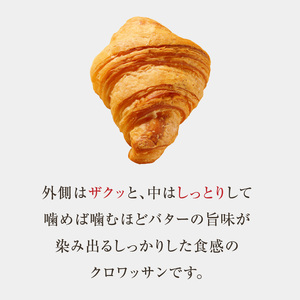 【全2回定期便】よつ葉バターの香り♪酵母クロワッサン１０個 065-06-T01